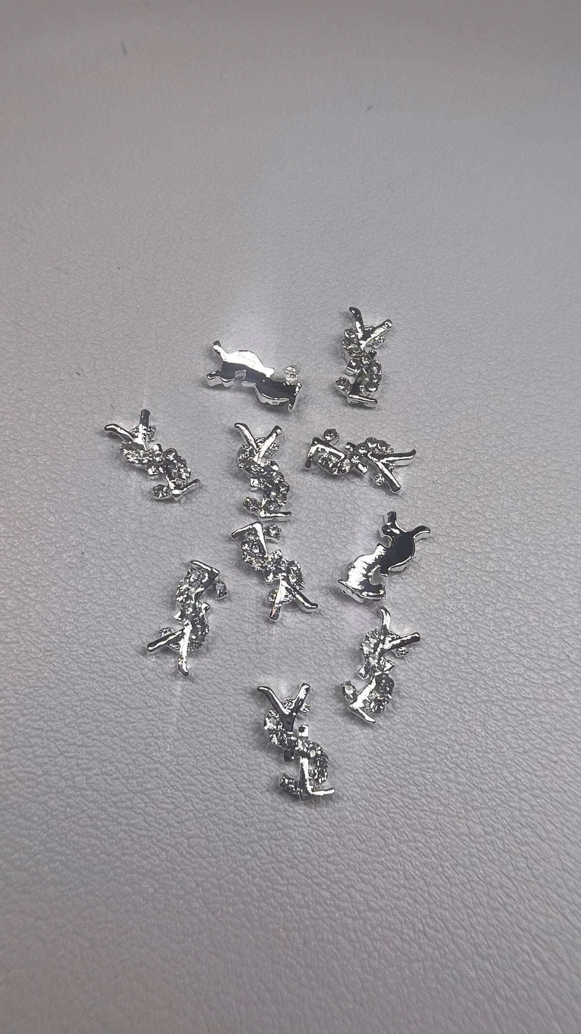 Luxury Charms Silver